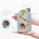 Succulents Planter Water Planting Container